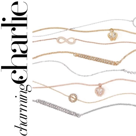 Charming Charlie Jewelry - Charming Charlie chain adjustable pull tie lot new